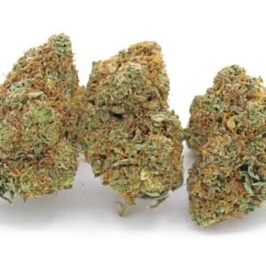 Apple Fritter Strain