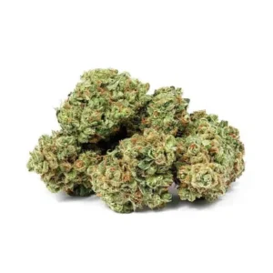 Buy Apple Fritter strain online in budapest