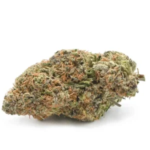 Buy Girl Scout Cookies strain online in Budapest