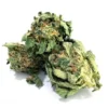 Buy OG Kush Strain online in Budapest