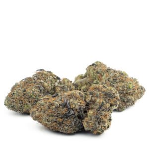 Buy Purple Haze strain online in Budapest