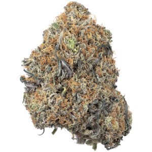 Buy Purple Haze strain online in Budapest