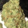 Jack Herer Strain for Sale