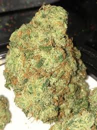 Jack Herer Strain for Sale