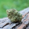 Buy Jack Herer 7.5g Budapest
